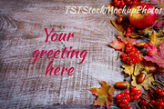 Thanksgiving background bundle, a Nature Photo by TasiPas (Thumbnail 4 of 5)