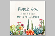 Watercolor cactus Clipart Succulent, a Decorative Illustration by LeCoqDesign (Thumbnail 4 of 5)