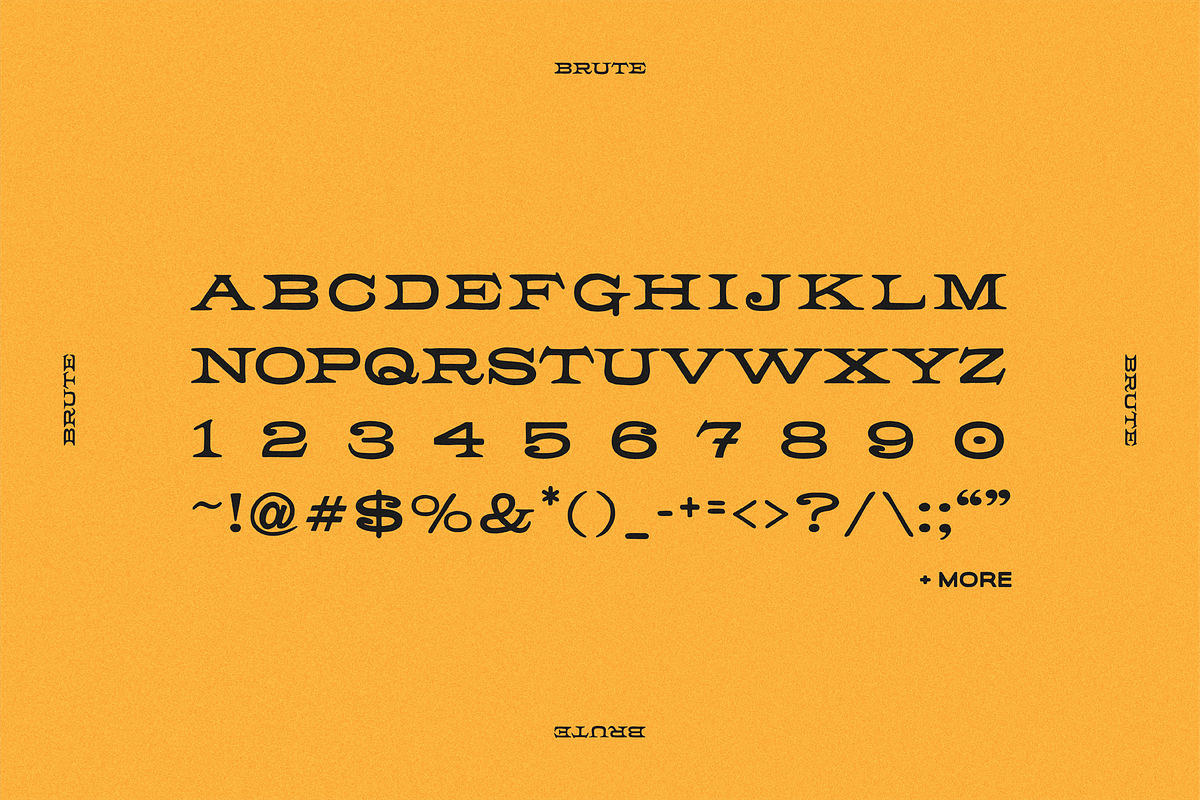 MWM Brute, a Serif Font by mikewillsmakes (Photo 3 of 6)
