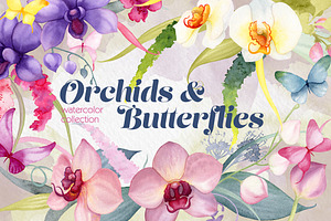 Tropical Watercolor Flowers