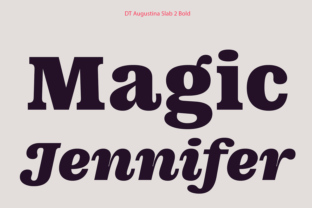 DT Augustina Slab 2 Subfamily, a Slab Serif Font by Deveze Type Foundry (Photo 12 of 30)