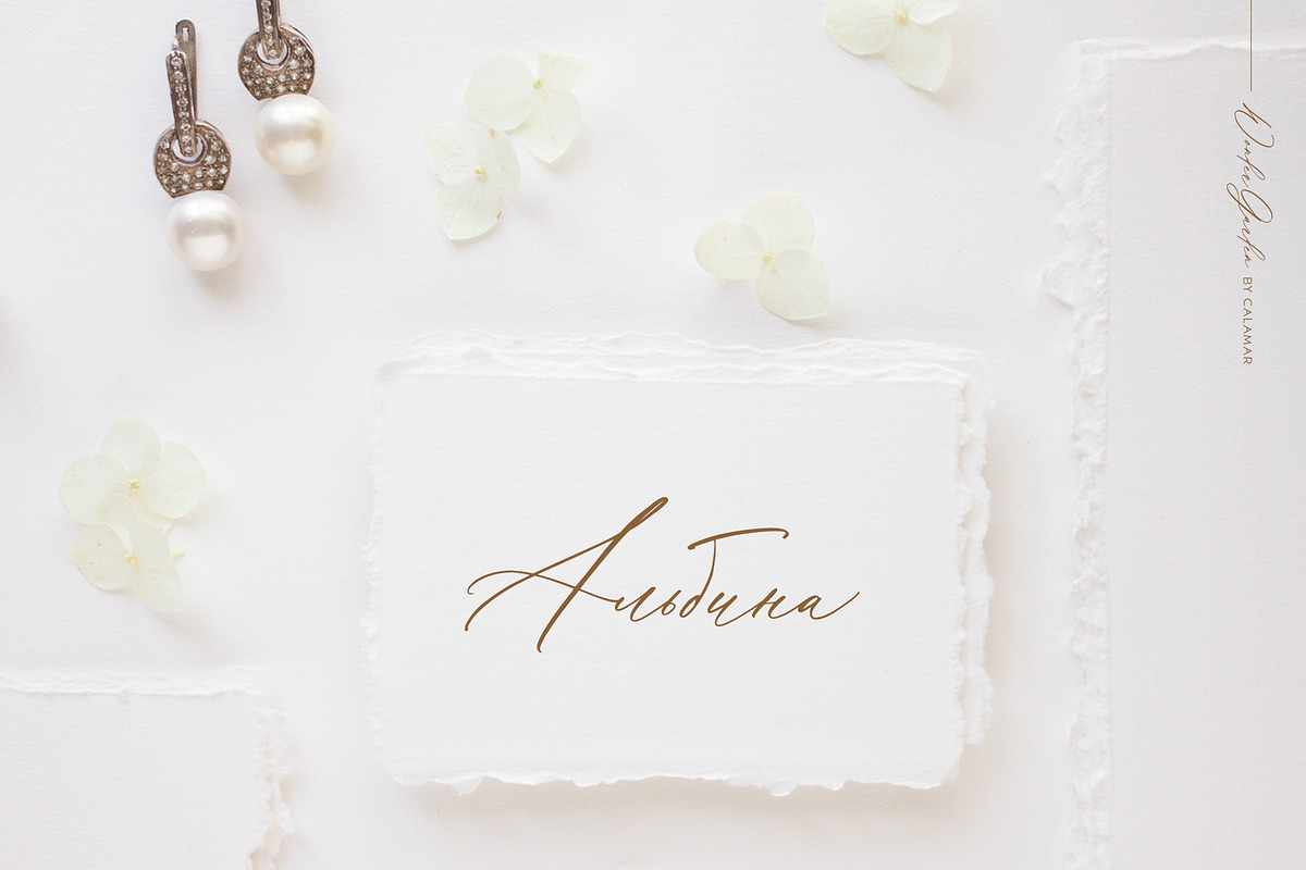 Wonder Garden | Latin&Cyrillic Font, a Script Font by Calamar Studio (Photo 12 of 16)