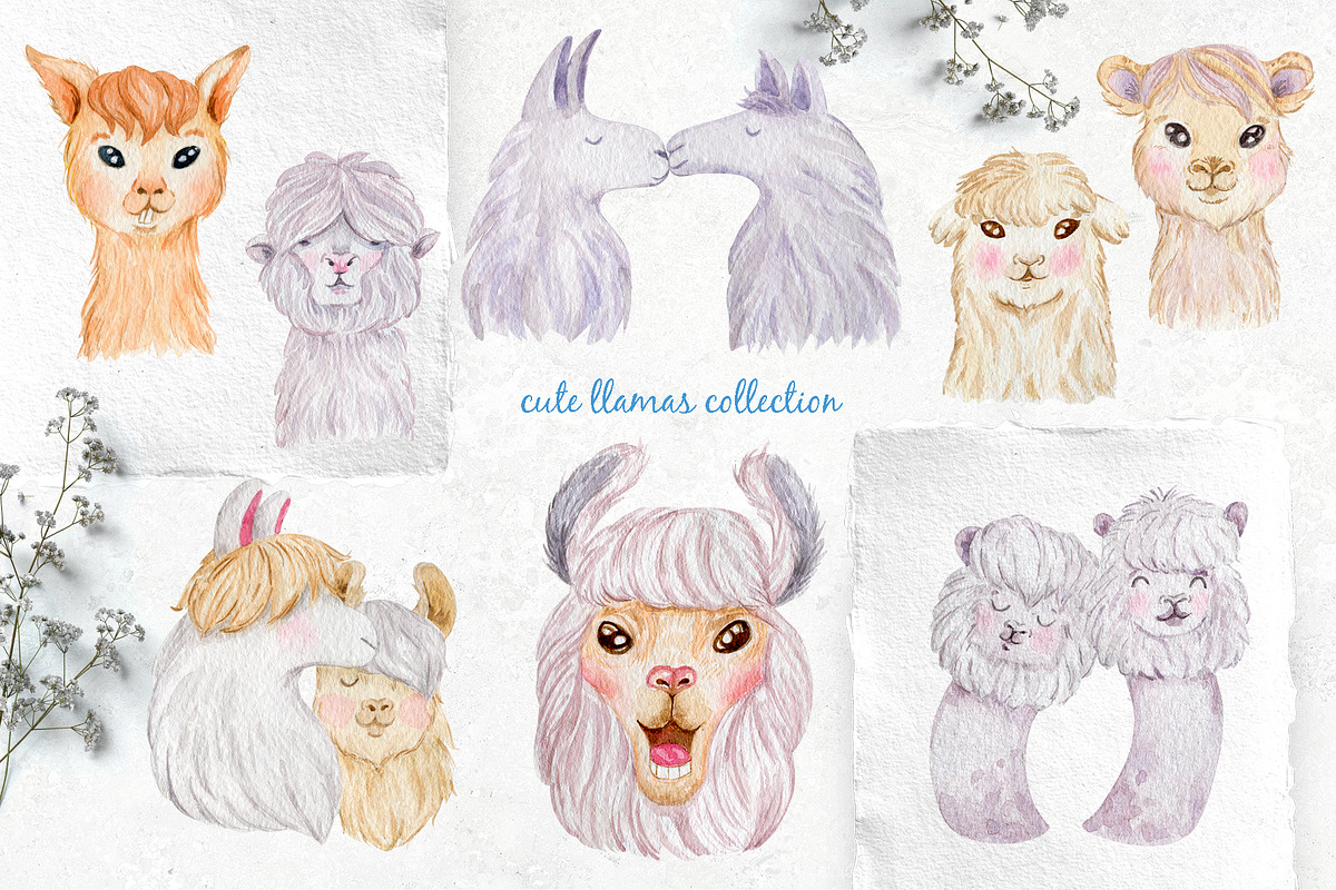 Llama Portrait Creator, an Animal Illustration by Kate Galunga Artstore (Photo 3 of 9)