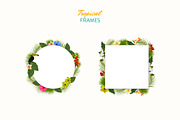 Tropical Realistic Paintings, a Decorative Illustration by Storyteller Imagery (Thumbnail 4 of 16)