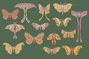 Art Nouveau Graphics Set, an Object Graphic by Liz Kohler Brown (Thumbnail 15 of 27)