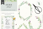 HERB BOTANIST watercolor clipart, a Decorative Illustration by Momo Studio (Thumbnail 10 of 15)