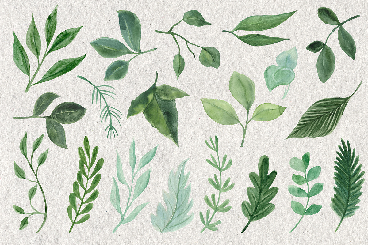 Leaves and Branches, an Object Graphic by Tiger and Flower (Photo 5 of 7)