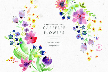 Carefree Flower watercolor illustrat
