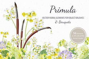 Vector object brushes. Primula.