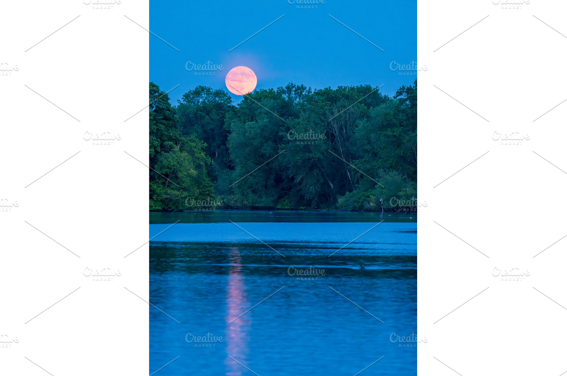 Harvest moon rises over the lake in, a Nature Photo by Backyard Stock