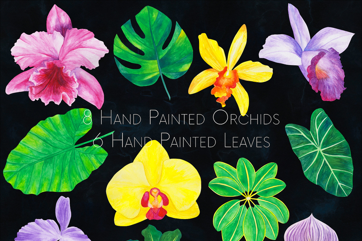 Wild Orchids Graphic and Texture Kit, a Graphic by Method & Process (Photo 5 of 15)