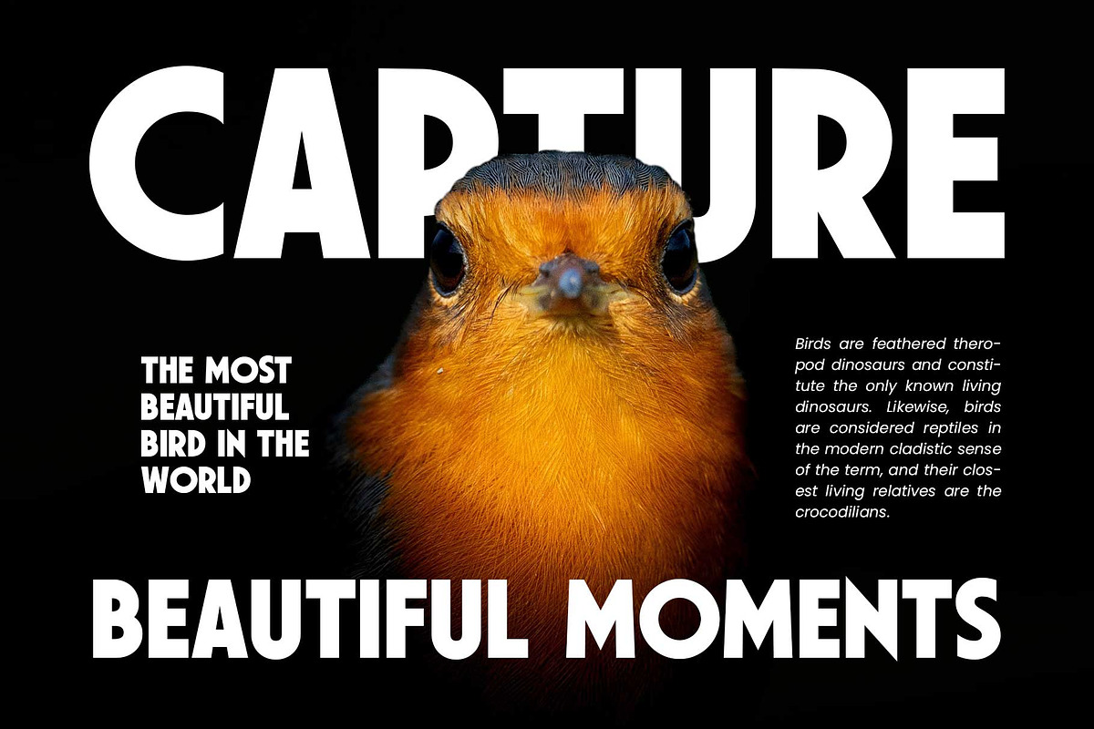 Shawkind - Display Font, a Sans Serif Font by Arterfak Project (Photo 7 of 12)