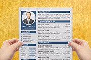Professional Resume / CV Template, a Resume Template by designvillage (Thumbnail 8 of 13)