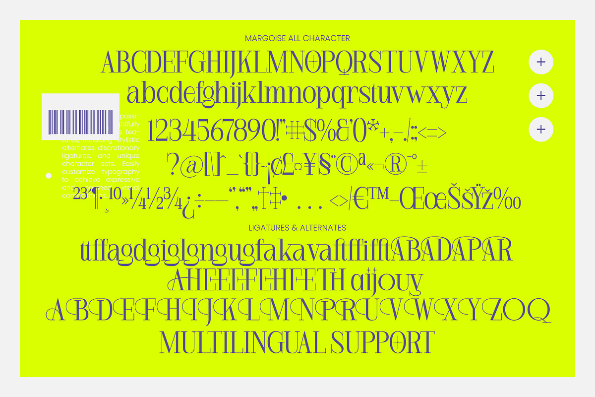 Margoise Modern Display Serif Font, a Serif Font by timelesstype.co (Photo 10 of 10)