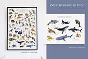 Australia Flora Fauna Clipart, an Animal Illustration by AnitaPol (Thumbnail 23 of 27)