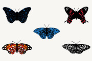 Realistic Butterfllies, Buttrerfly, an Animal Illustration by Bloom21Art (Thumbnail 2 of 5)