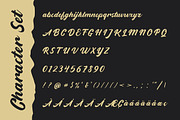 Widati Script Clean & Rough + Bonus, a Script Font by Mbonster Design Studio (Thumbnail 4 of 10)