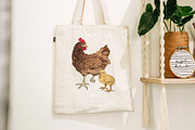 Hand drawn chicken life cycle, an Animal Illustration by handsketched (Thumbnail 6 of 7)