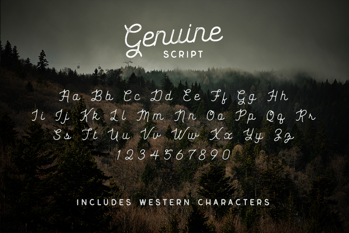 Genuine Script - Textured Type Duo preview 3