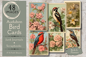 Audubon Bird Cards for Junk Journals, an Animal Illustration by 23 Pixels