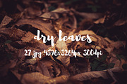 Dry leaves, a Templates & Theme by ApertureVintage (Thumbnail 6 of 16)
