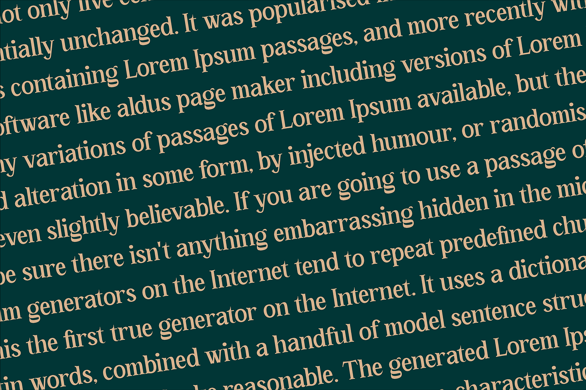 Ortusela Classic Typeface Font, a Serif Font by Storytype Studio (Photo 5 of 15)