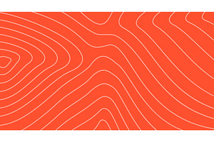 Salmon fish meat pattern, an Animal Illustration by Vector Tradition