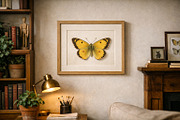 Antique Butterfly Atlas, an Illustration by Moonflora (Thumbnail 6 of 7)