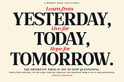 Wolfgar - Serif Font Family, a Serif Font by Artistic & Unique (Thumbnail 13 of 15)