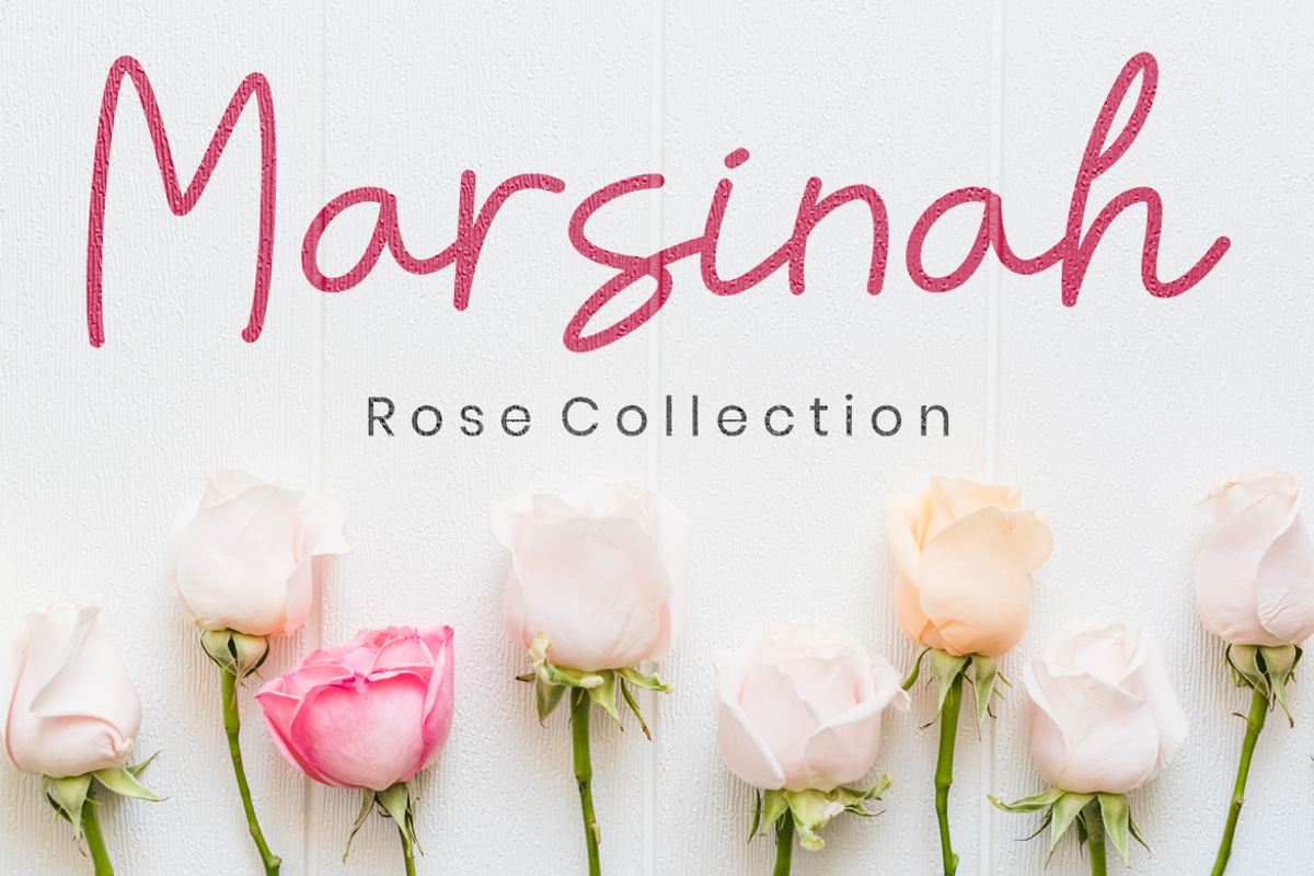Hattesik Script Monoline Font, a Script Font by MC Creative (Photo 4 of 7)