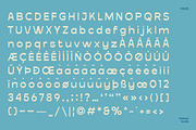 Falkenberg – Vintage Rough Display, a Sans Serif Font by Casloop Studio (Thumbnail 8 of 10)