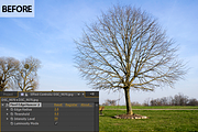 Fixel EdgeHancer 2 AE, a Plug-in Add-On by Fixel Algorithms (Thumbnail 3 of 3)