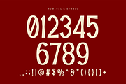 Pamelo - Bold Sans Serif Font, a Sans Serif Font by Pekotype (Thumbnail 3 of 15)