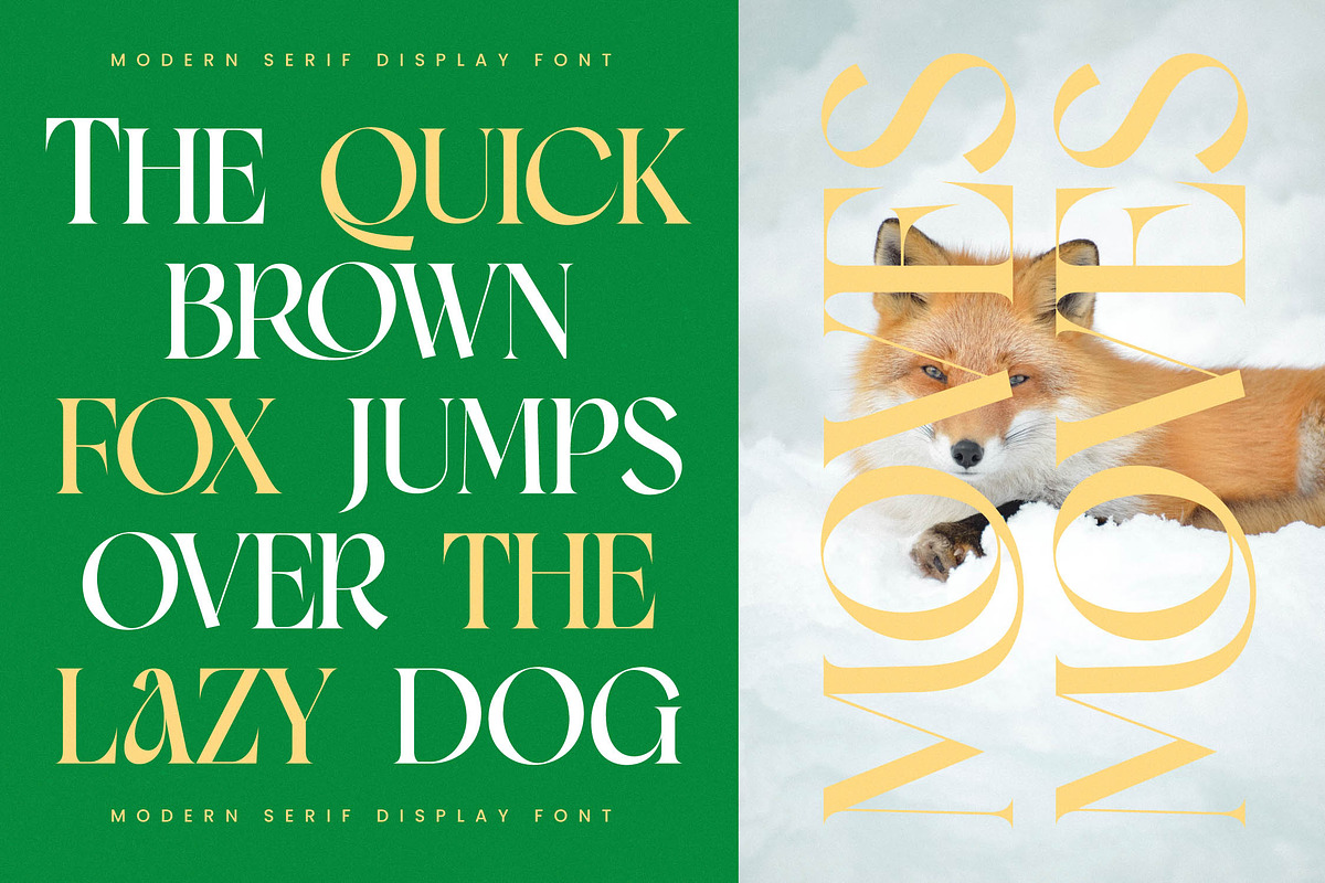 Moves Cabse Modern Display Serif, a Serif Font by timelesstype.co (Photo 7 of 20)