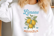 Retro Summer Lemon Fruit PNG, a Seasonal Illustration by Canvas Craft (Thumbnail 2 of 7)