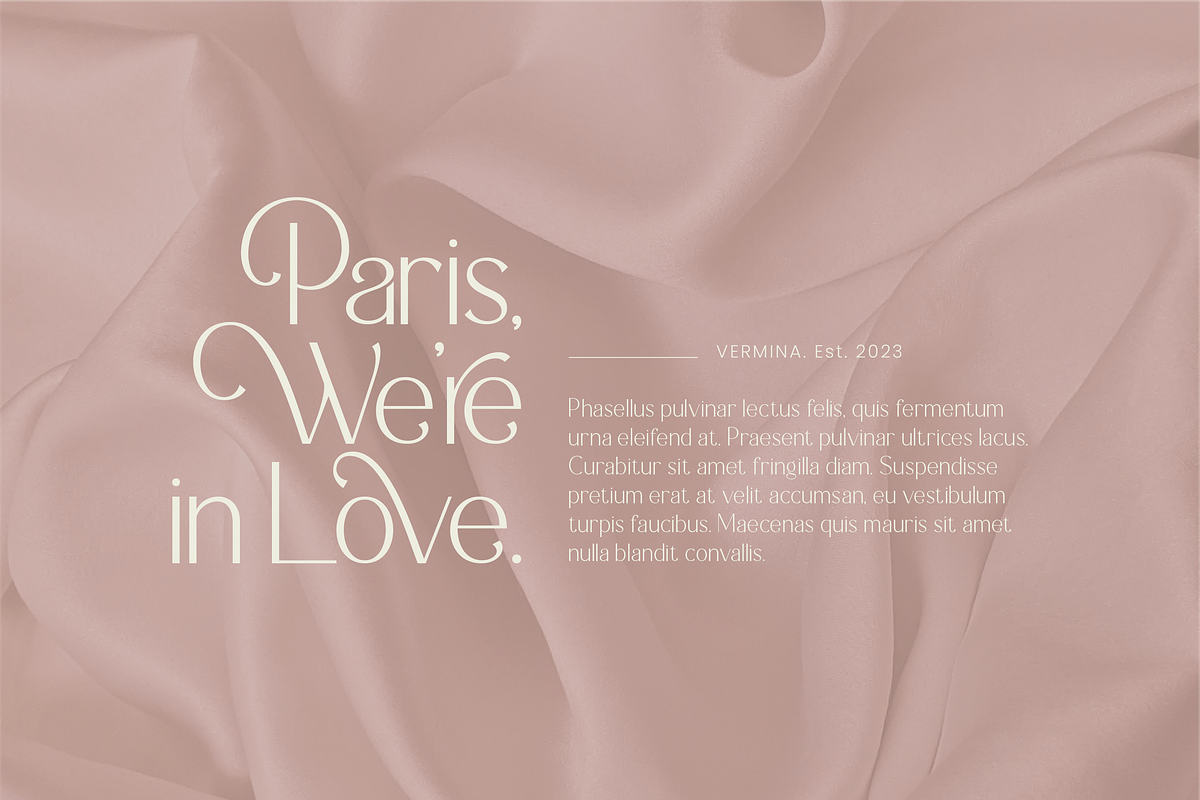 Vermina - Alternate Sans Serif, a Sans Serif Font by Flawless And Co (Photo 8 of 10)