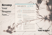 Professional Resume Format Example, a Resume Template by HIRED Design Studio (Thumbnail 18 of 18)