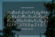 Lubiedo | Monoline Script, a Script Font by gracetype_studio (Thumbnail 10 of 12)