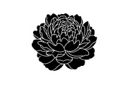 Floral Ornament Silhouette Bundle, an Illustration by BIPLOB EXPERT (Thumbnail 15 of 51)