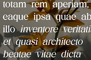 The Regalique Sans Serif Family Font, a Serif Font by UICreative (Thumbnail 12 of 13)