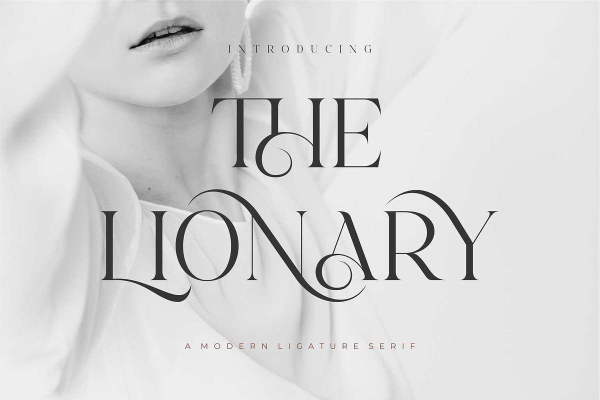 Lionary Modern Serif Font, a Serif Font by Dylla_studio (Photo 1 of 11)