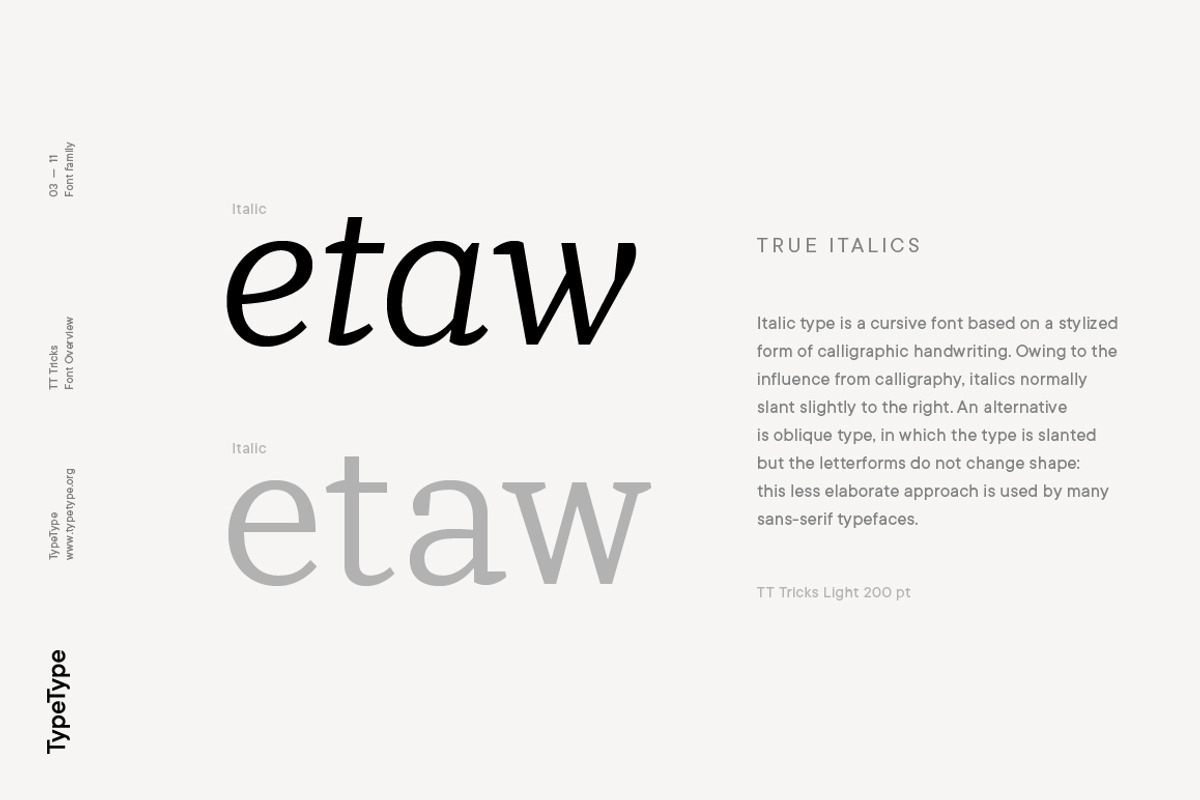 TT Tricks, a Serif Font by TypeType (Photo 3 of 10)