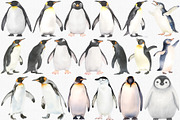 Watercolor Penguin Clipart Set, an Animal Illustration by CropUp Creative (Thumbnail 2 of 4)
