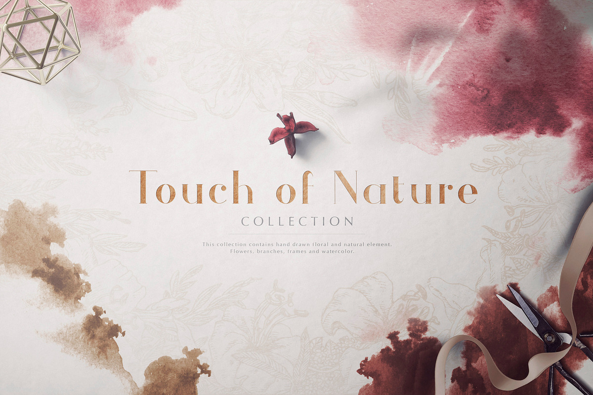 Touch of Nature Collection, a Decorative Illustration by Michael Rayback Design (Photo 1 of 20)