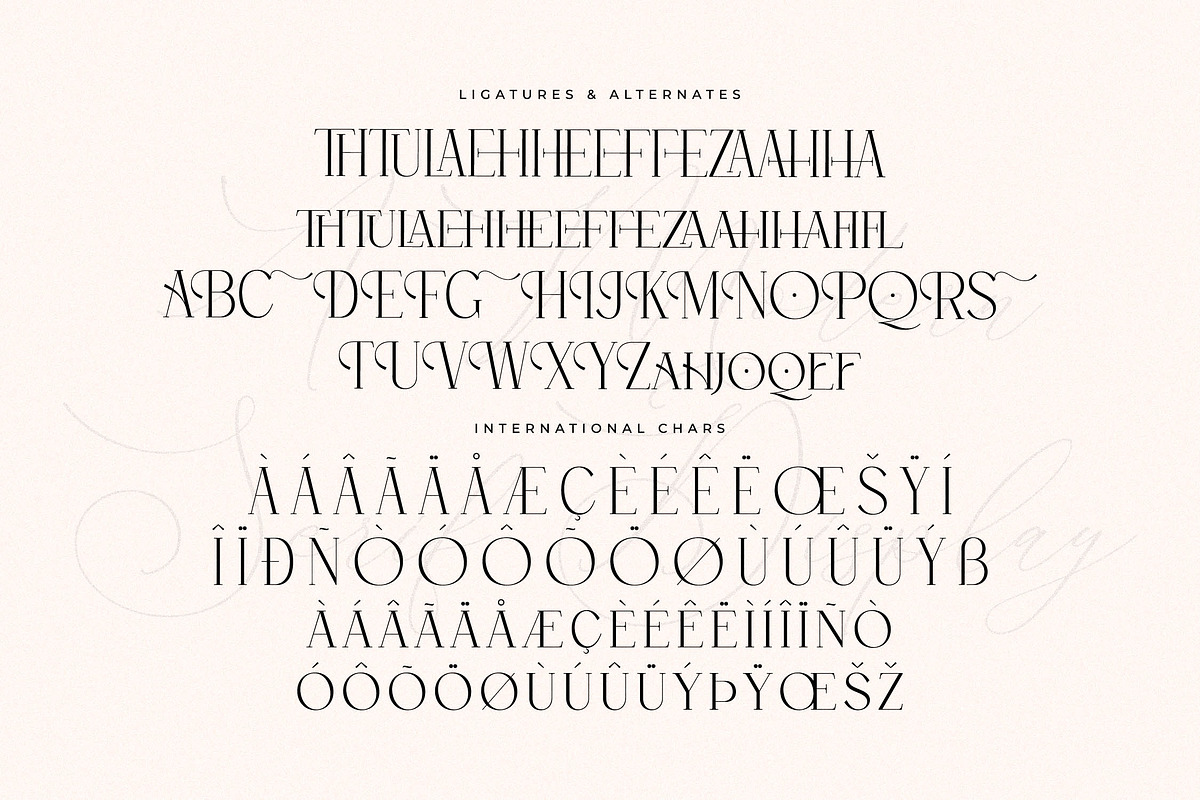 Qelthan A Modern Serif Display, a Serif Font by Storytype Studio (Photo 14 of 15)