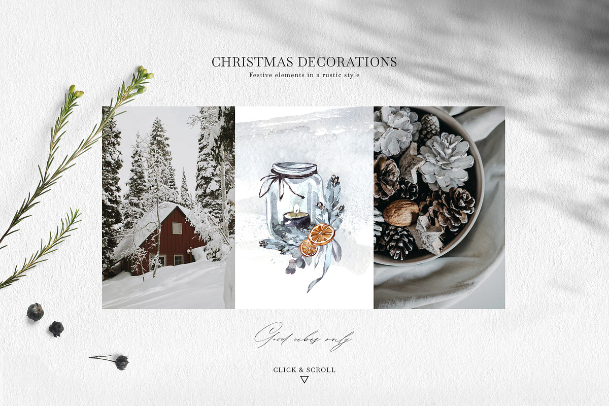 Forest Legends Winter animal set, a Seasonal Illustration by Anastezia Luneva (Photo 9 of 17)