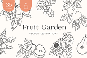 Fruit Garden Vector Illustrations, a Decorative Illustration by Emma Webb Studio (Thumbnail 1 of 7)
