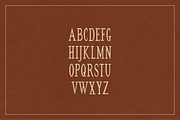 OAKLANE by Natasha Reddy, a Serif Font by Natasha Reddy Studio (Thumbnail 3 of 10)