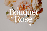 Daily Magazine Serif Display Font, a Serif Font by UICreative (Thumbnail 11 of 13)