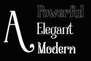 Dolphins Serif with Decorative, a Serif Font by Alandya TypeFoundry (Thumbnail 2 of 9)